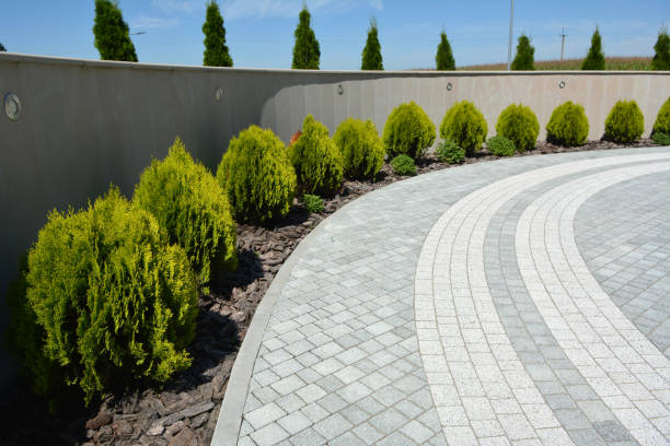 Best Driveway Repair Near Me  in Highland Park, IL